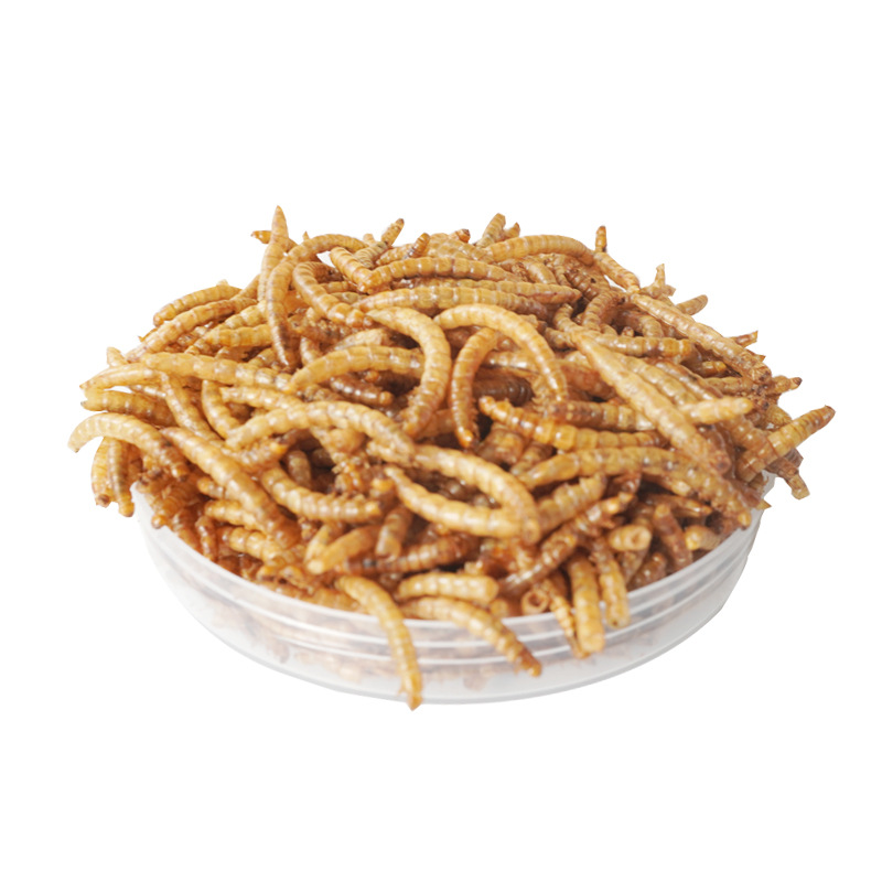 High-Protein Snacks Hamster Fo - Food Snacks High In Protein review and price