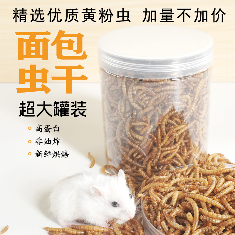 High-Protein Snacks Hamster Fo - Food Snacks High In Protein review and price